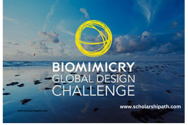 The Biomimicry Youth Design Challenge | Harnessing Nature’s Genius